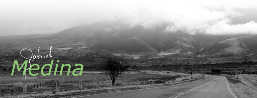 Gabriel Medina Header